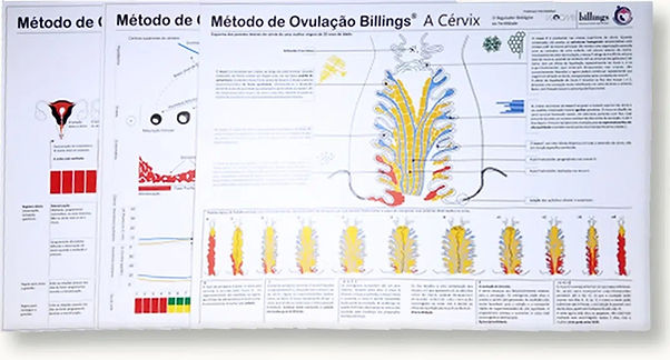 Cartazes do Método de Ovulação Billings